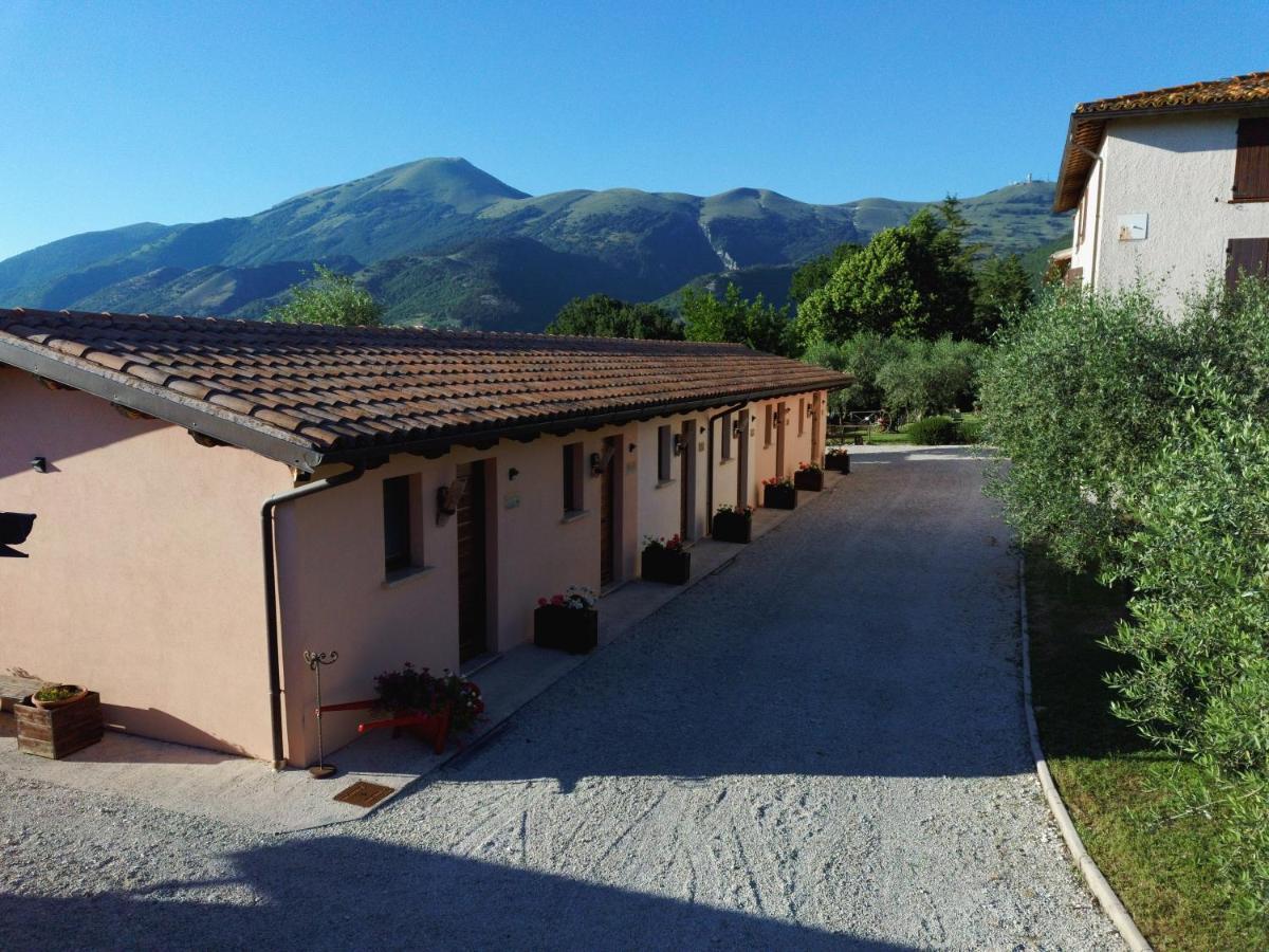 Santa Croce Farm stay *