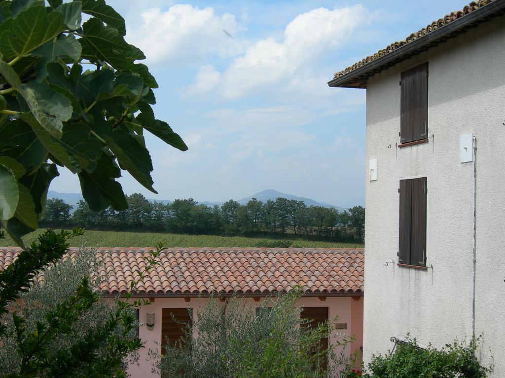 Santa Croce *