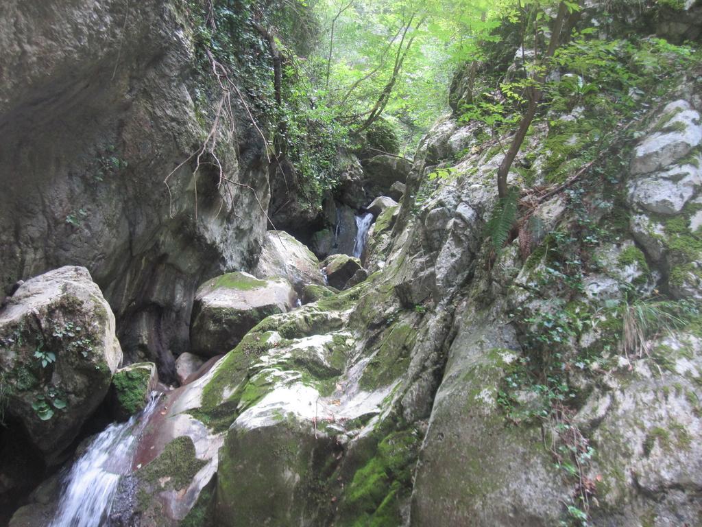 Santa Croce Farm stay Fossato di Vico