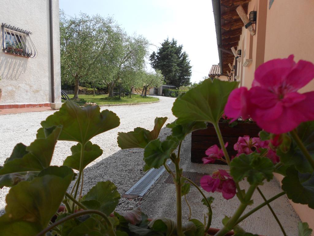 Farm stay Santa Croce *