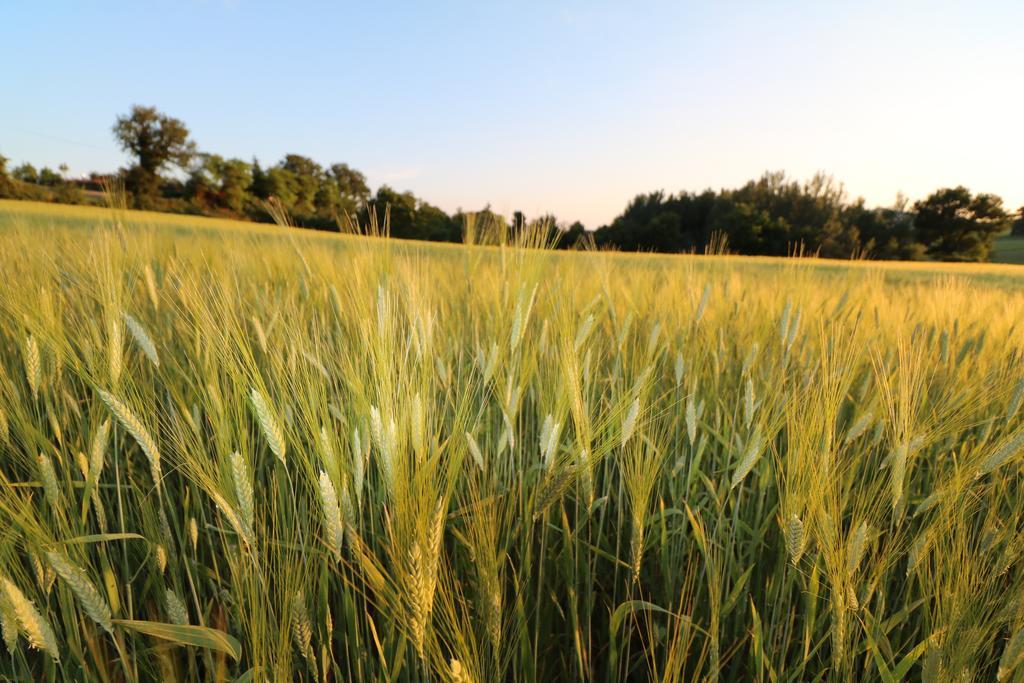 Santa Croce Farm stay